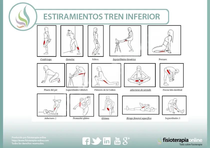 ejercicios de flexibilidad del tren inferior - Cómo hacer para tener flexibilidad en las piernas