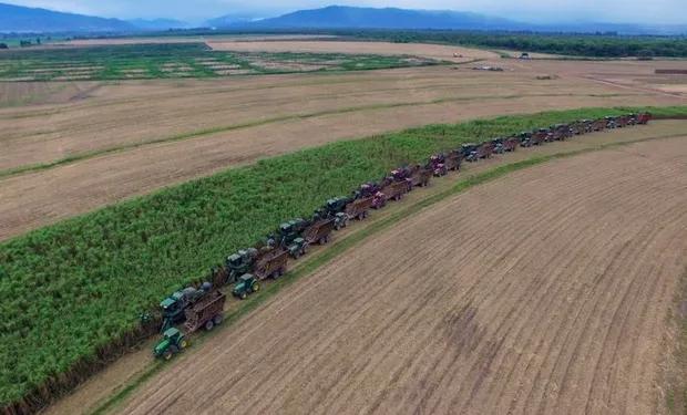como afecto el ferrocarril a la industria azucarera - Cuál es el ingenio más grande de la Argentina