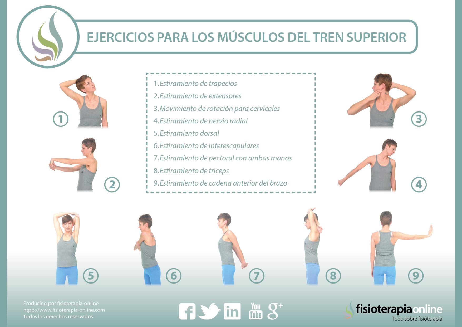 movilidad articular tren superior - Cuál es la movilidad articular