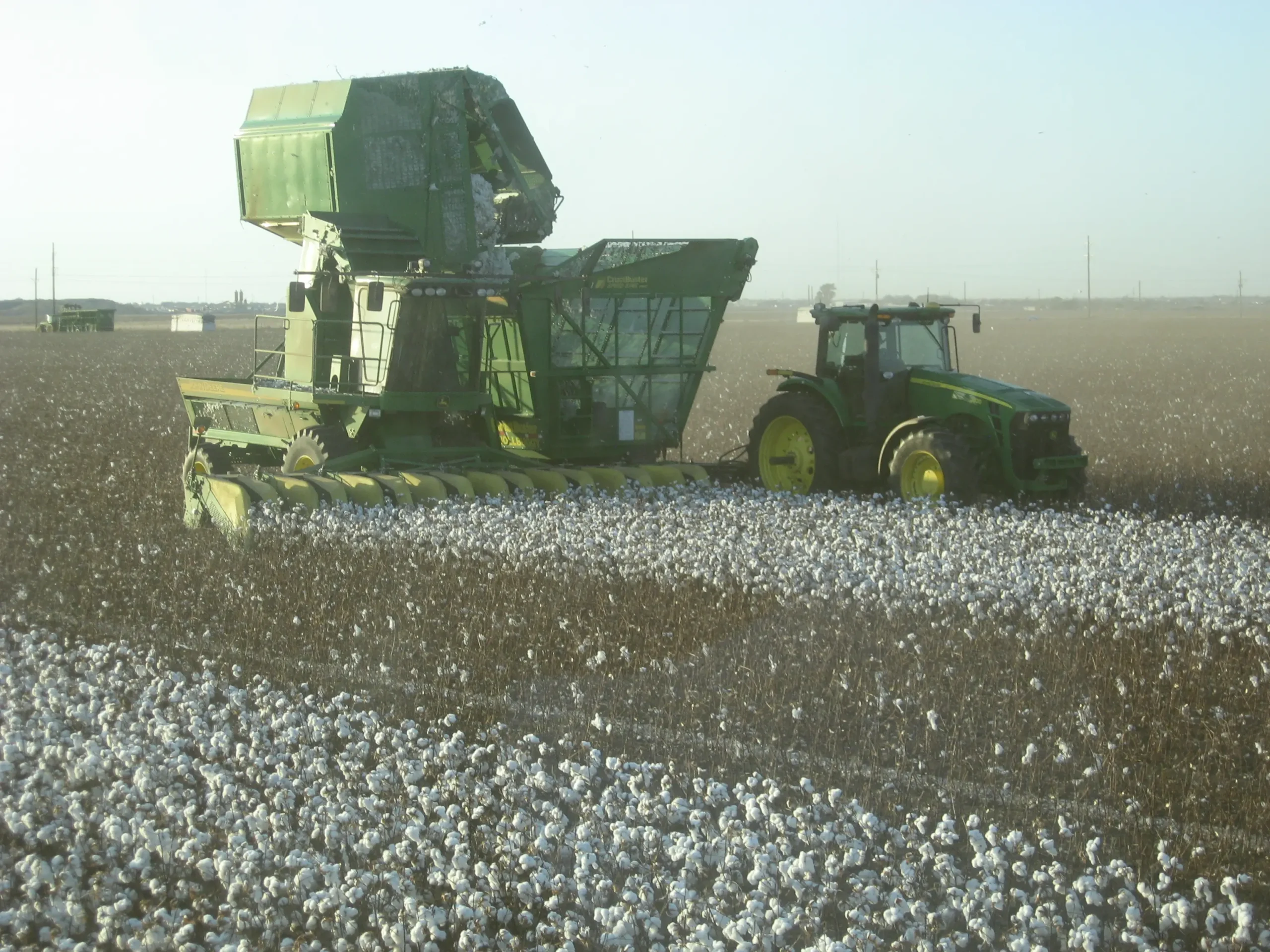 que se desarrollo primero el algodon o el ferrocarril - Cuál fue la primera industria textil