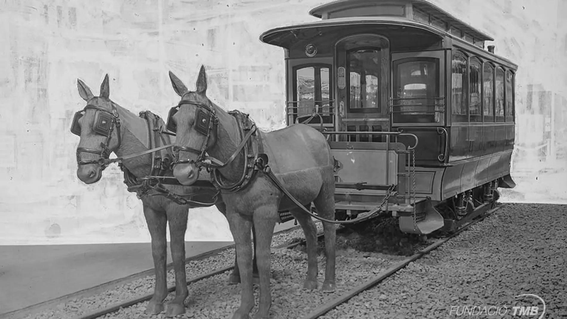 ferrocarril tracción animal - Cuáles son los vehículos de tracción animal