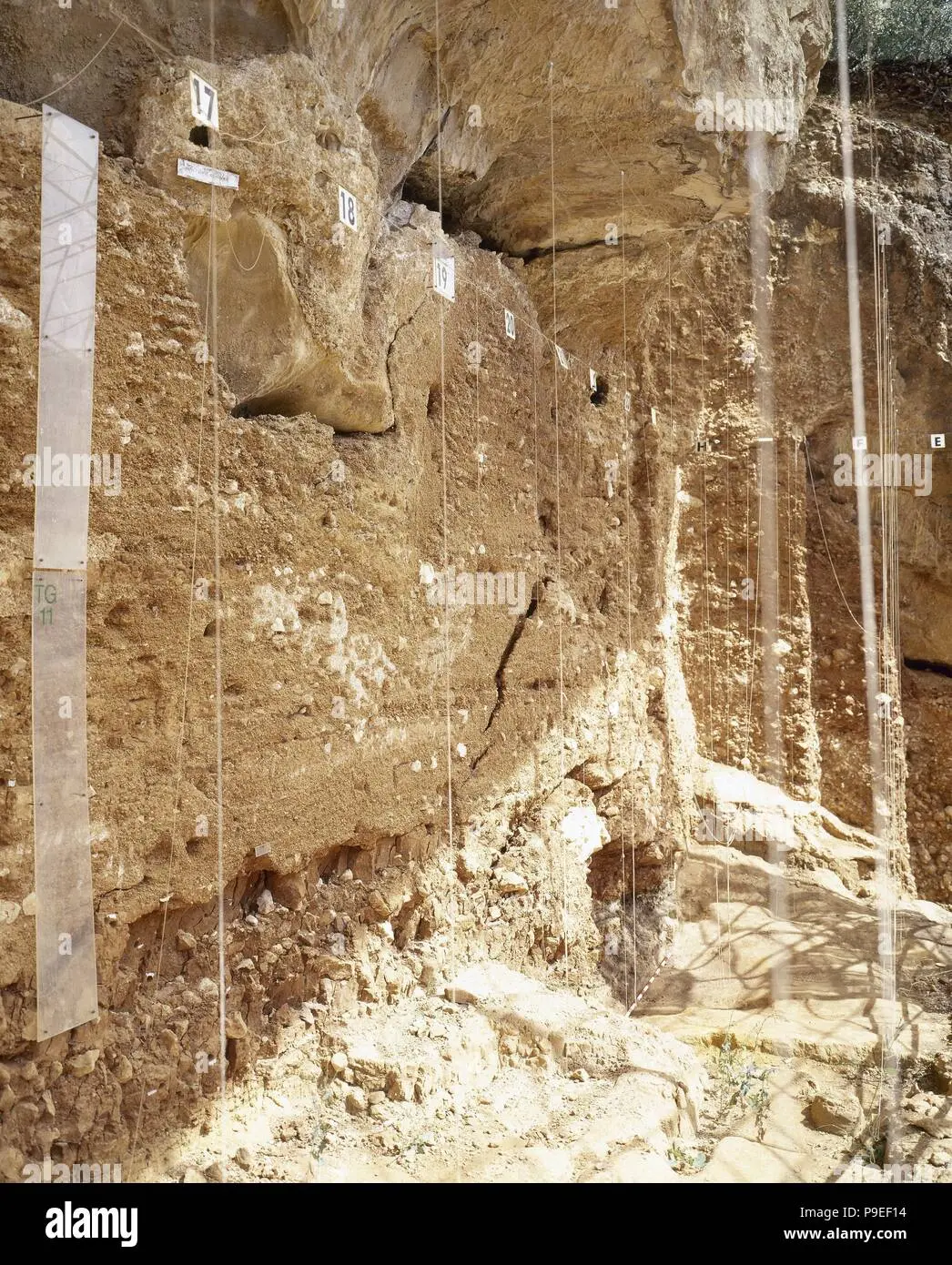 La Trinchera del Ferrocarril: Un tesoro paleontológico en Atapuerca - Cuáles son los yacimientos de la Trinchera del Ferrocarril trinchera del ferrocarril - Cuáles son los yacimientos de la Trinchera del Ferrocarril