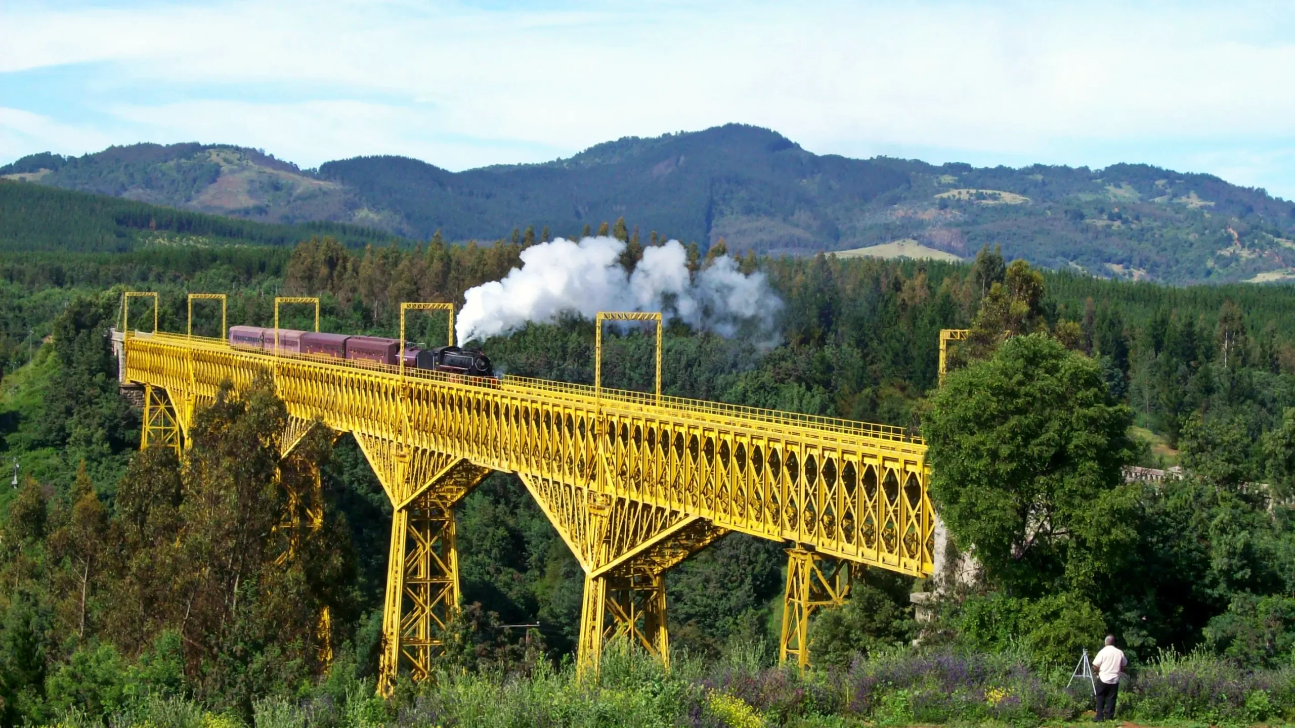 ferrocarril en chile - Cuántas líneas de tren en Chile