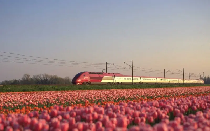 tren de rotterdam a paris - Cuánto cuesta el tren de Rotterdam a París