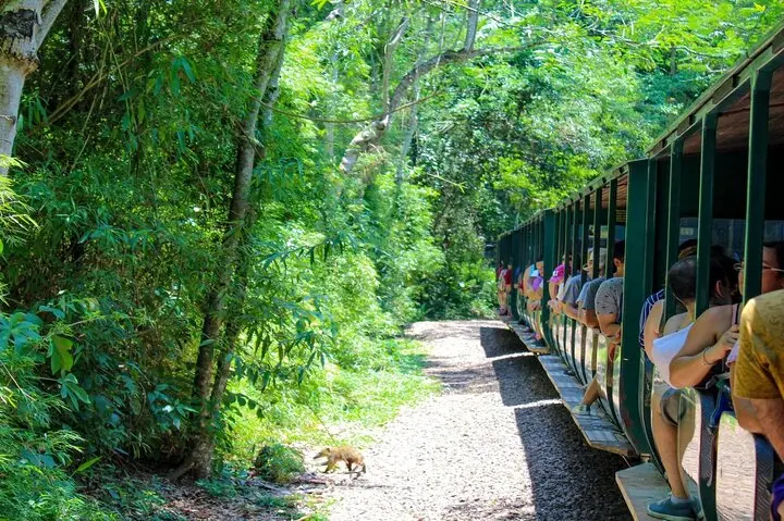 tren de buenos aires a puerto iguazu - Cuánto cuesta ir de Buenos Aires a las Cataratas de Iguazu