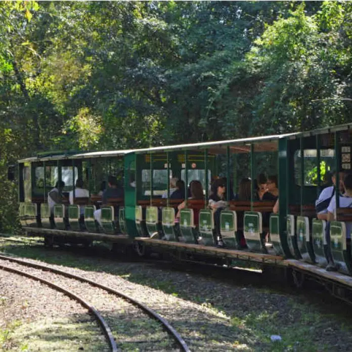 Tren de la Selva Tarifas: Los precios para disfrutar de una experiencia única - Cuánto cuesta la entrada a las Cataratas del Iguazú lado Brasilero 2023 tren de la selva tarifas - Cuánto cuesta la entrada a las Cataratas del Iguazú lado Brasilero 2023