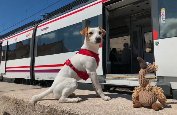 Cuánto gana un cambista en los ferrocarriles - Cuánto gana un cambista en Argentina cuanto gana un cambista ferrocarriles - Cuánto gana un cambista en Argentina