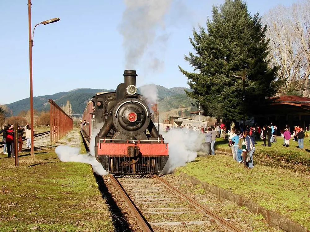 Tren Santiago Valdivia: La mejor forma de viajar por tierra en Chile - Cuánto se demora el tren de Santiago a Temuco tren santiago valdivia - Cuánto se demora el tren de Santiago a Temuco