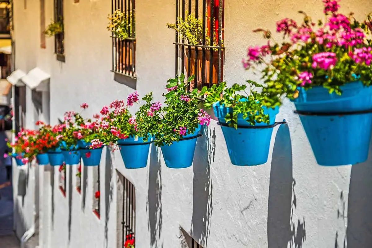 Recorrer el sur de España en tren: la belleza de Andalucía - Cuántos días para recorrer la Costa del Sol recorrer el sur de españa en tren - Cuántos días para recorrer la Costa del Sol