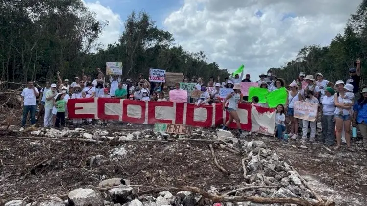 ecocidio tren maya - Por qué están en contra del Tren Maya
