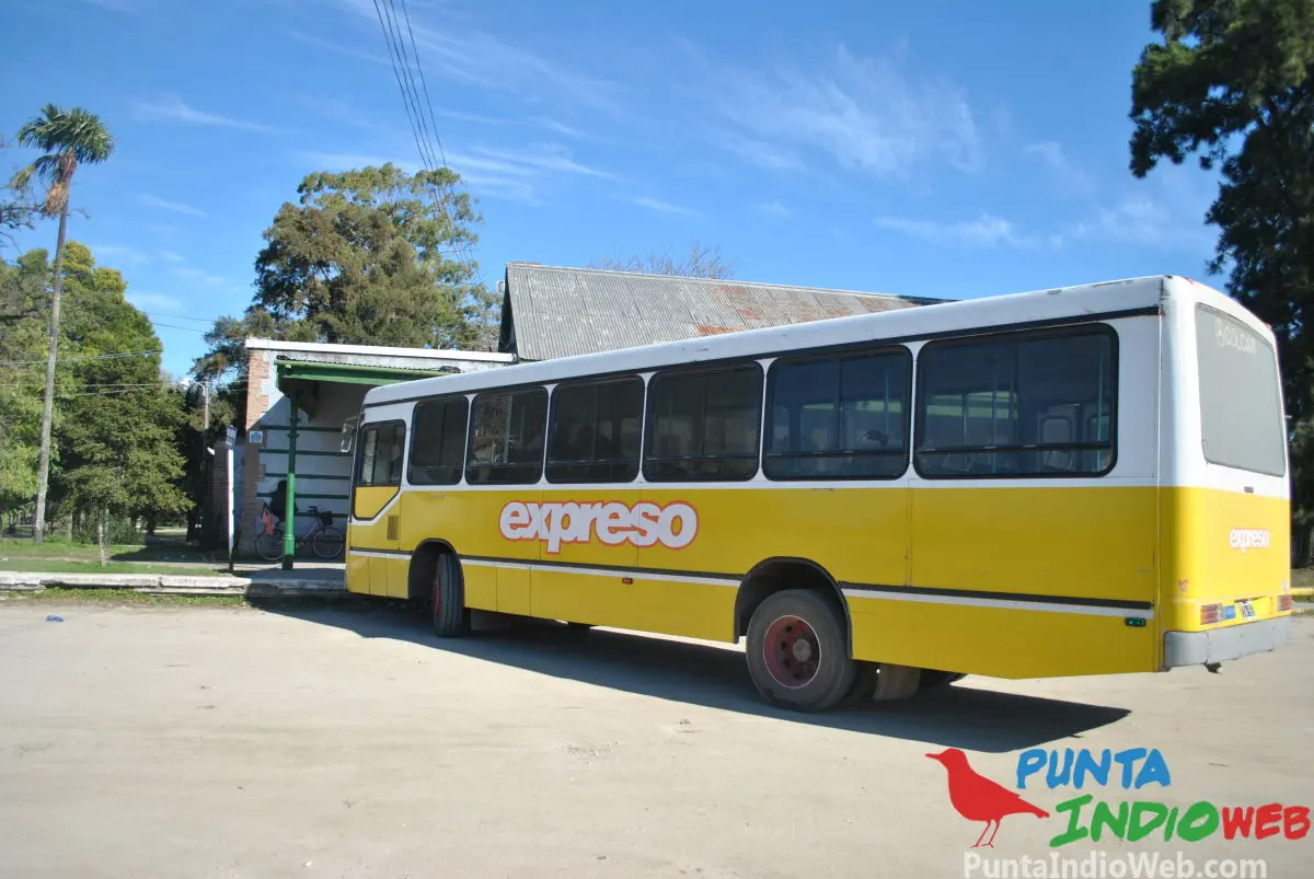Punta Indio: Cómo llegar en tren - Qué colectivo me deja en Punta Indio punta indio como llegar en tren - Qué colectivo me deja en Punta Indio