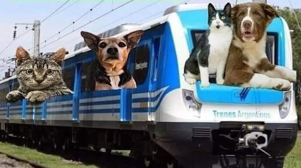 ferrocarril urquiza viajar con perros - Qué días se puede viajar con mascotas en el subte