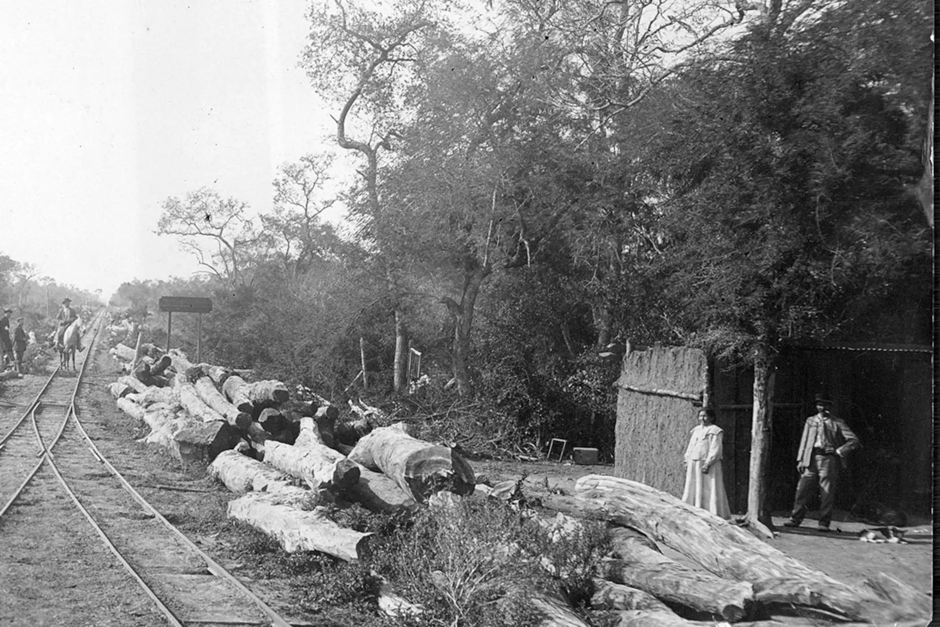 La Forestal: La historia de una devastación socio-ambiental - Qué era La Forestal en Santa Fe la forestal historia ferrocarril - Qué era La Forestal en Santa Fe