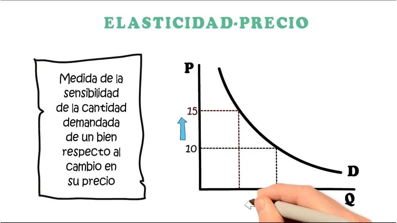 elasticidad directa y cruzada cuadro bus ferrocarril - Qué factores determinan la demanda del transporte