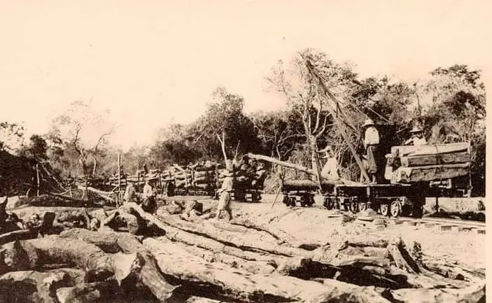 Ferrocarril y los pueblos de la Forestal: Un legado histórico en la región santafesina - Qué fue el conflicto de La Forestal en Argentina ferrocarril y los pueblos de la forestal - Qué fue el conflicto de La Forestal en Argentina