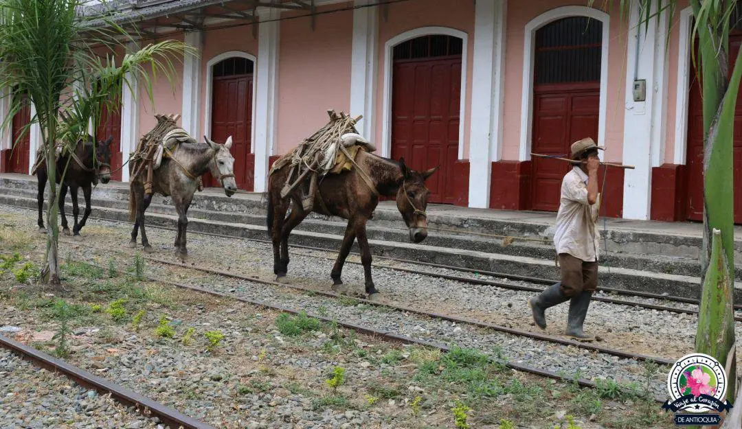 estaciones de ferrocarril en colombia - Qué pasó con el Ferrocarril de Antioquia