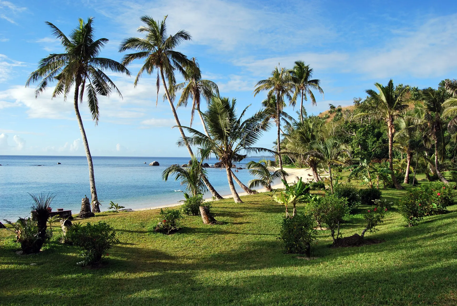 Explorando la exuberante biodiversidad de Madagascar