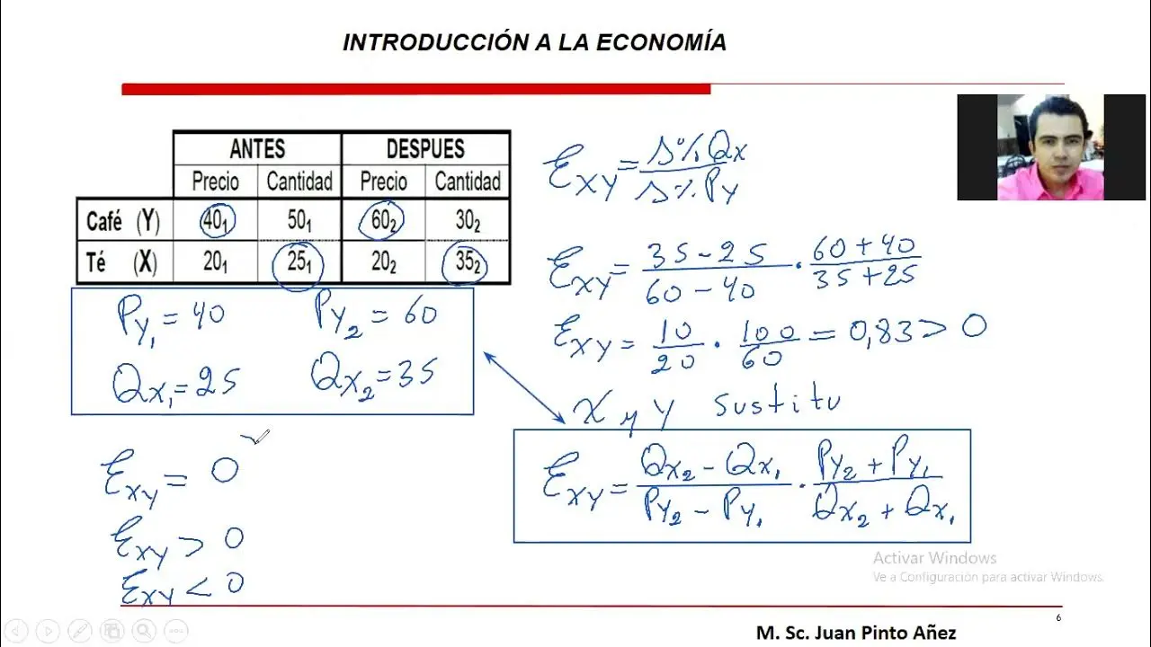 elasticidad directa y cruzada cuadro bus ferrocarril - Qué tipo de bienes nos permite identificar la elasticidad cruzada de la demanda Qué significan cada uno