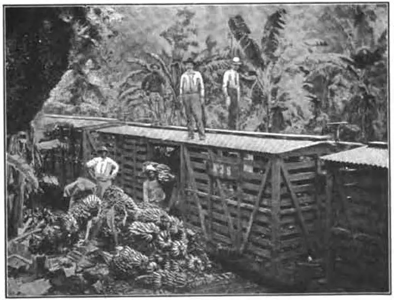 ferrocarril al atlantico costa rica - Quién construyó el ferrocarril de Costa Rica