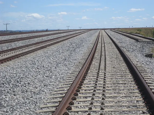 ferroviario de ips - Quién paga el IPS